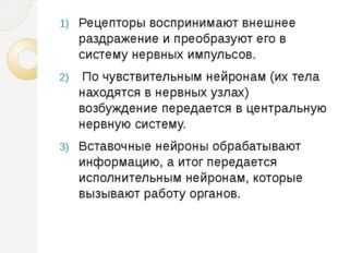 Контрольная работа по теме Основные принципы координированной деятельности центральной нервной системы