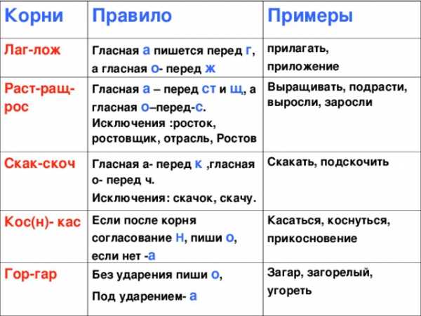 Составь 5 слов к схемам корень окончание