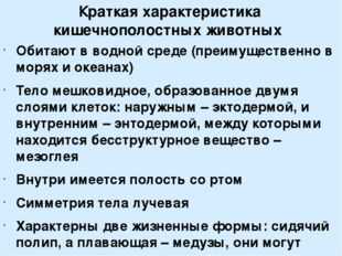 Какие признаки характерны для кишечнополостных животных. Общая характеристика кишечнополостных. Кишечнополостные характеристика. Тип Кишечнополостные общая характеристика. Тип Кишечнополостные краткая характеристика.